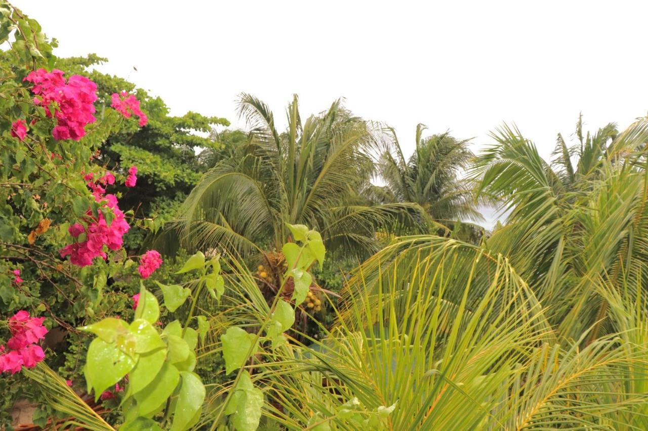 Hotel Posada Seremein ,West Bay ,Roatan Екстериор снимка