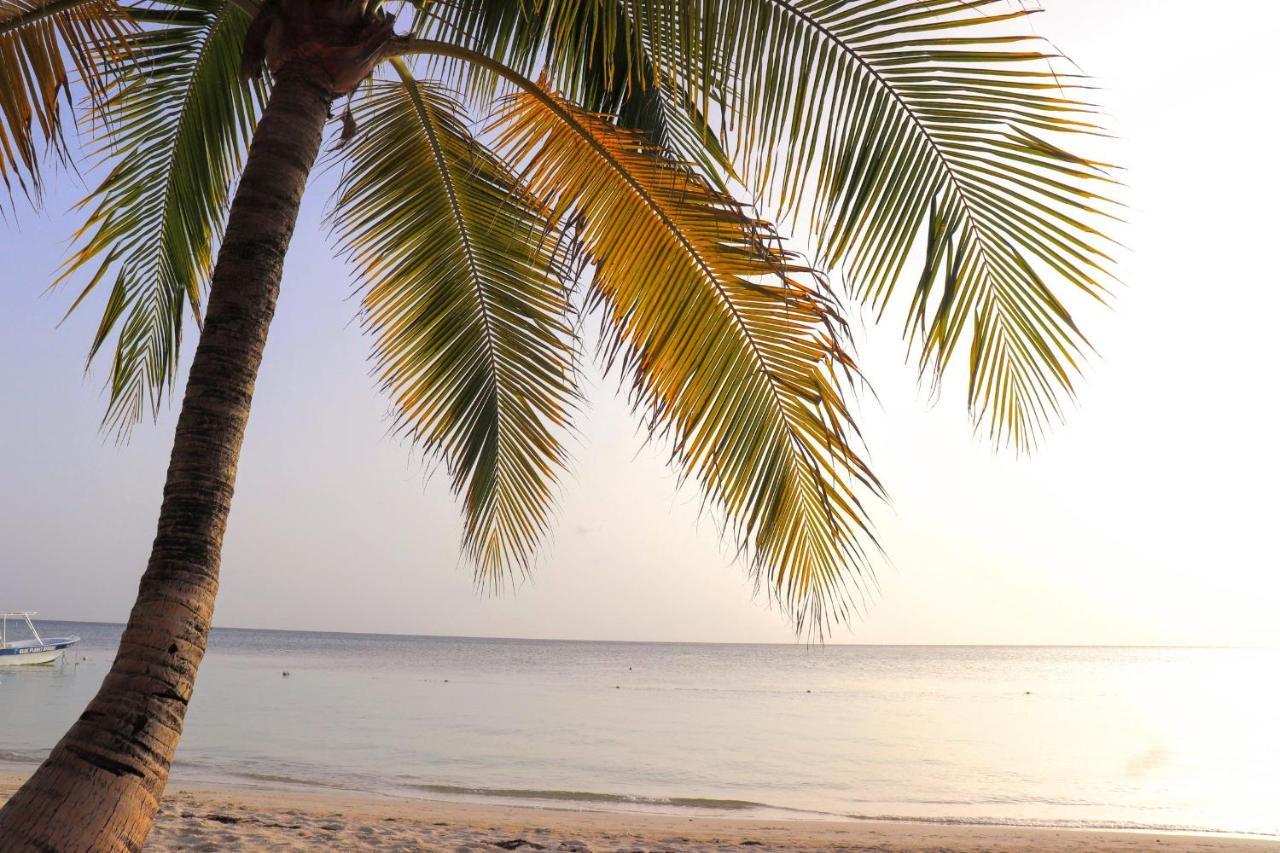 Hotel Posada Seremein ,West Bay ,Roatan Екстериор снимка