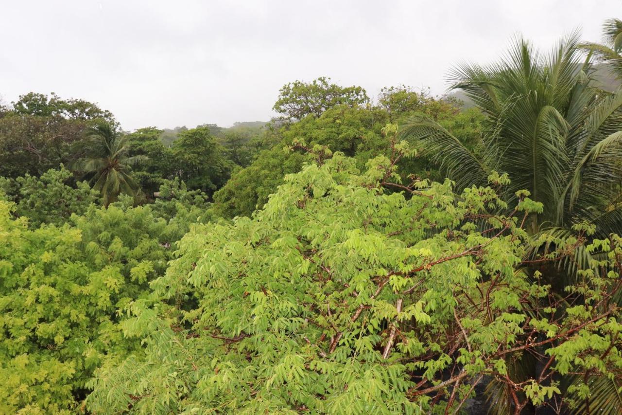 Hotel Posada Seremein ,West Bay ,Roatan Екстериор снимка